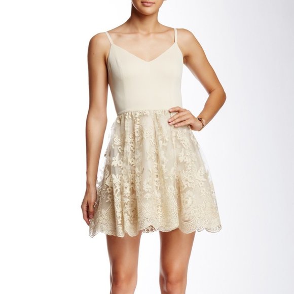 Alice + Olivia Dresses & Skirts - NWT Alice & Olivia Dress (sz 4)